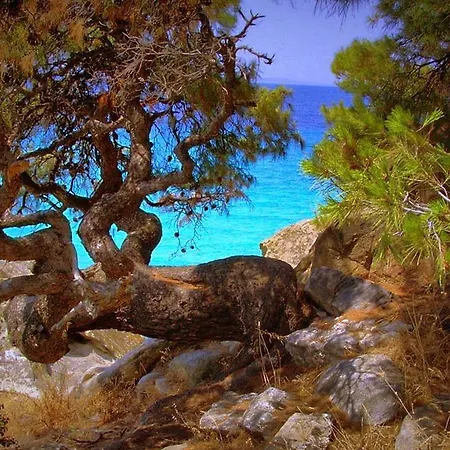 Coview * Nikiti (Sithonia)
